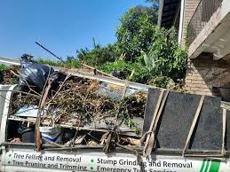 Trusted Cabana Colony, FL Junk Removal Services Experts